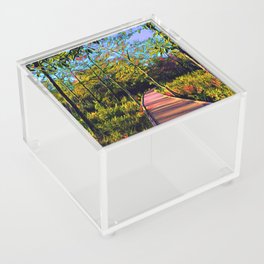 Pine Path Acrylic Box