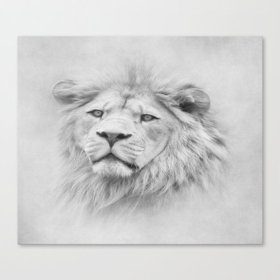 Barbary Lion Canvas Print