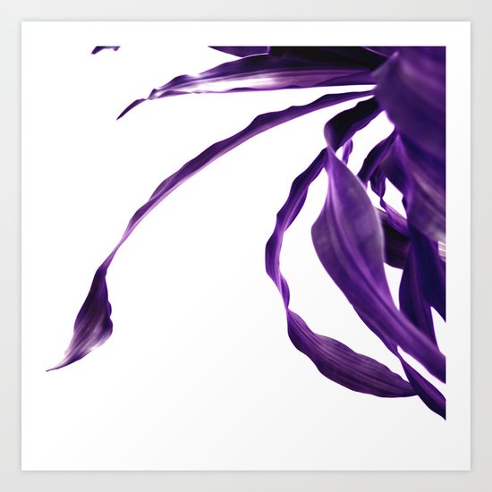 Purple tropical leaves. Art Print