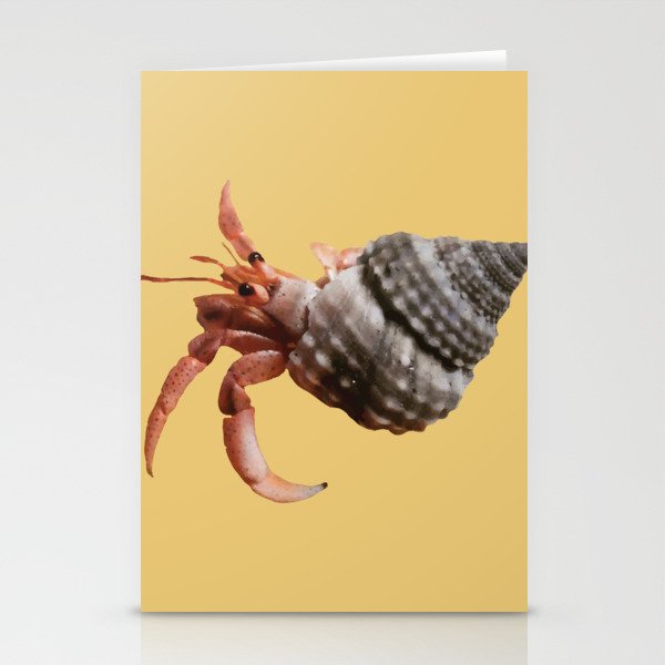 Happy Hermit Crab / Cangrejo ermitaño feliz Stationery Cards