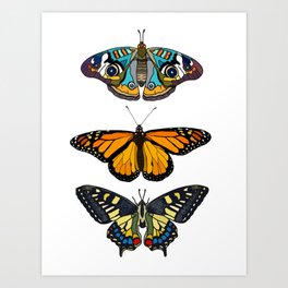 Butterflies Collection Art Print