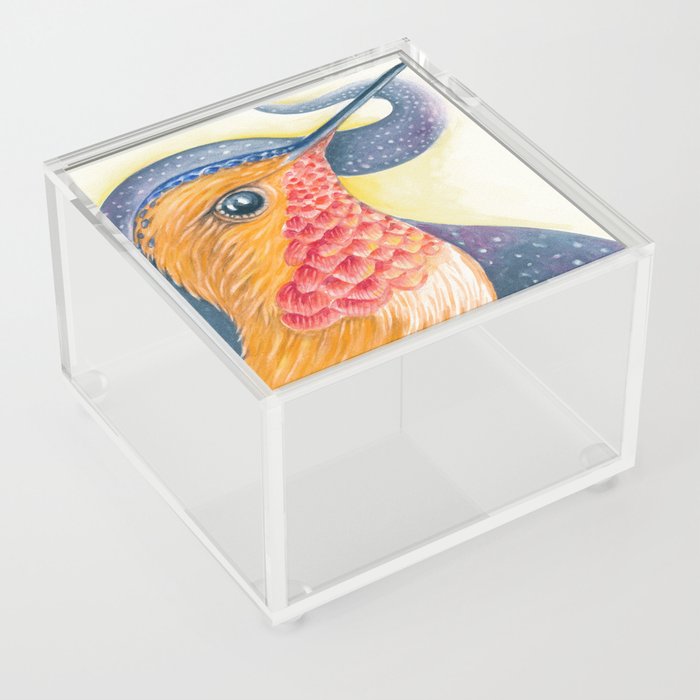 Red Rufous Hummingbird Galaxy Stars Watercolor Acrylic Box