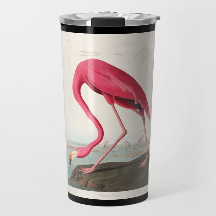 American Flamingo | Pink Flamingo | Vintage Flamingo | Audubon | Birds of America | John James Audubon | Travel Mug