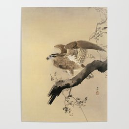 Ohara Koson, Hawk On The Tree Branch - Japanese Vintage Woodblock Print Poster