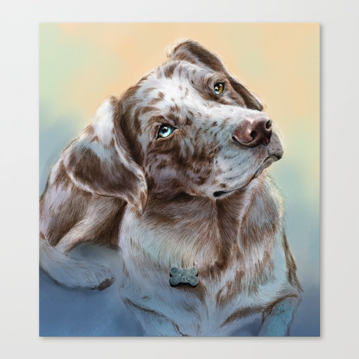 Leopard print catahoula clearance