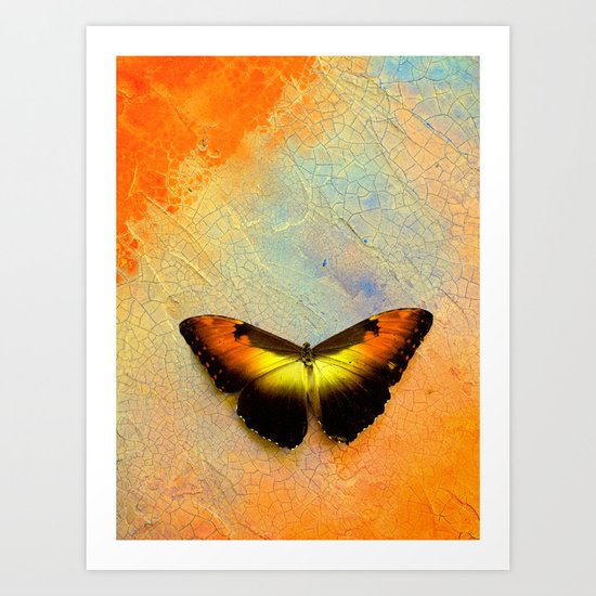 Golden Morpho Art Print