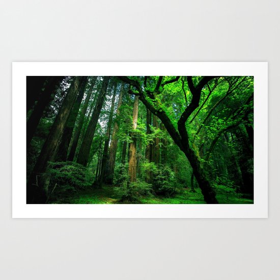 Enchanted forest mood II Art Print