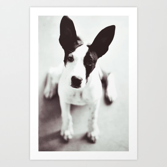 Coco Art Print