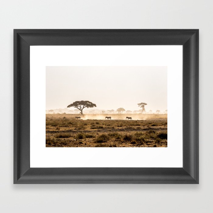 Zebra in Amboseli Dust Framed Art Print