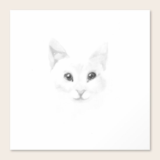 Winter cat Canvas Print