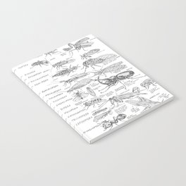 Phylogeny of the Insects Notebook