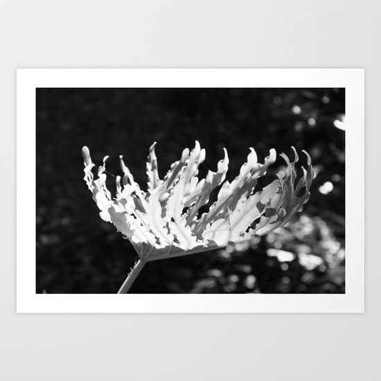 Bowl with light Art Print