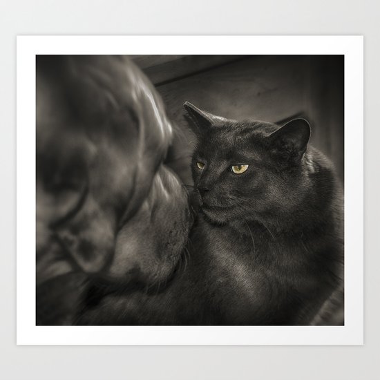 Cat Versus Dog Art Print