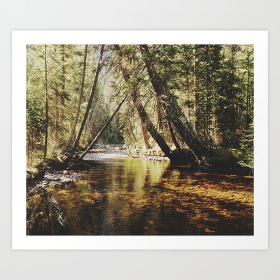 East Inlet Creek Art Print
