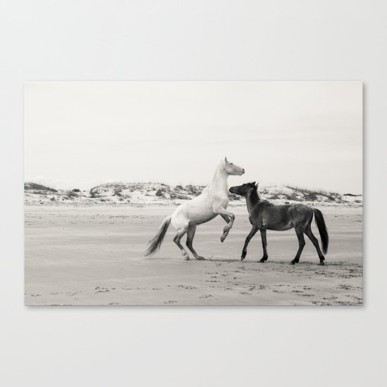 Wild Horses 5 - Black and White Canvas Print