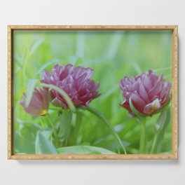 Vintage retro photo of pink tulip flowers Serving Tray