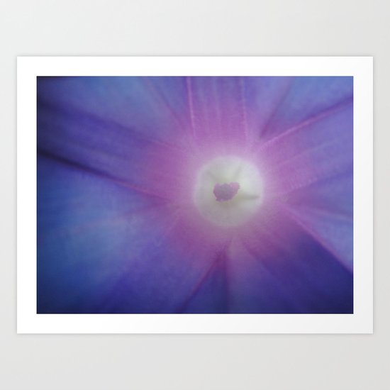 Morning glory Art Print