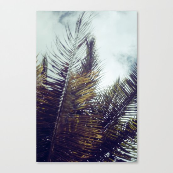 Palm Sky II Canvas Print