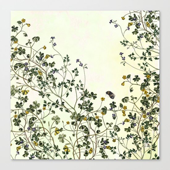 The wilderness continues. Canvas Print