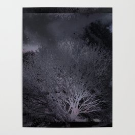 Watercolor Forest Trees Goth Poster
