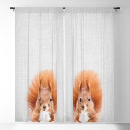 Squirrel 2 - Colorful Blackout Curtain