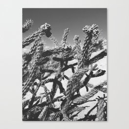 Utah Cactus // Black and white Canvas Print