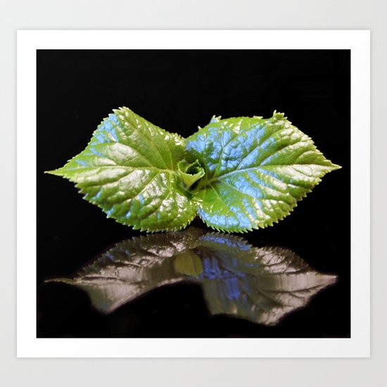 little leaves on black Art Print