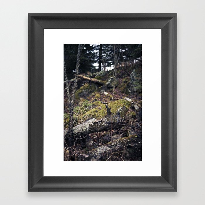 overgrown. Framed Art Print