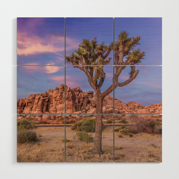 Gorgeous Joshua Tree in the evening Wood Wall Art