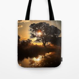  Searching for Life.. Tote Bag