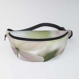 spring clematis Fanny Pack