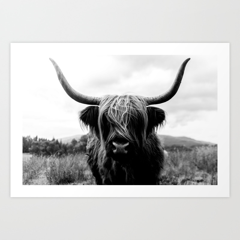 Scottish Highland Cow Animal Poster Monochrome 12x16'' 24x32'' Art Silk Home 