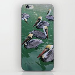 Pelican Beach iPhone Skin