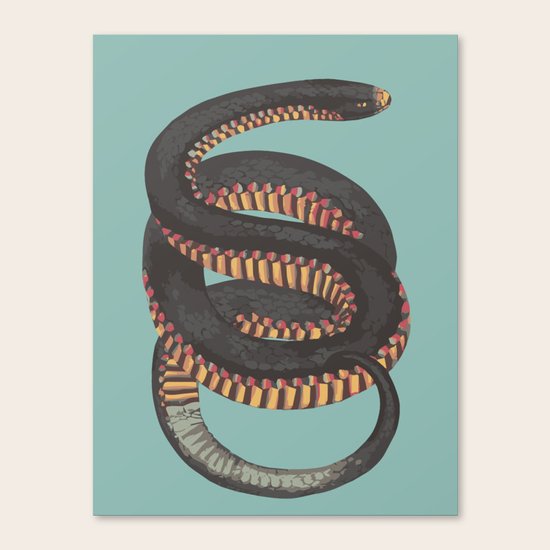 Snake Canvas Print