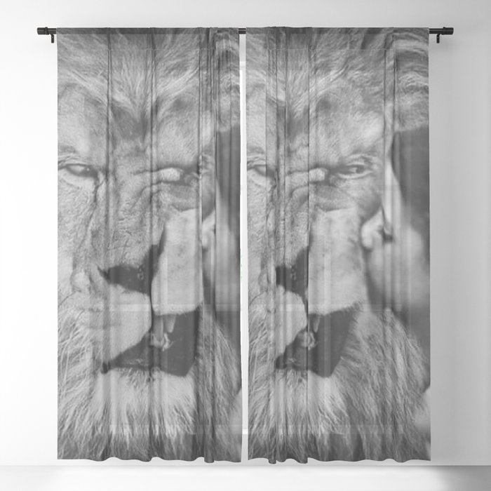 Grouchy Lion being kissed by brunette girl black and white photography Sheer Curtain