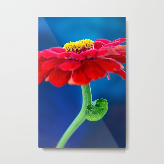 COLOR BLOCKING | RGB Metal Print