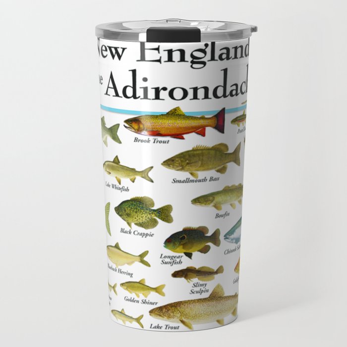 Illustrated New England and  Adirondacks Game Fish Identification Chart Travel Mug