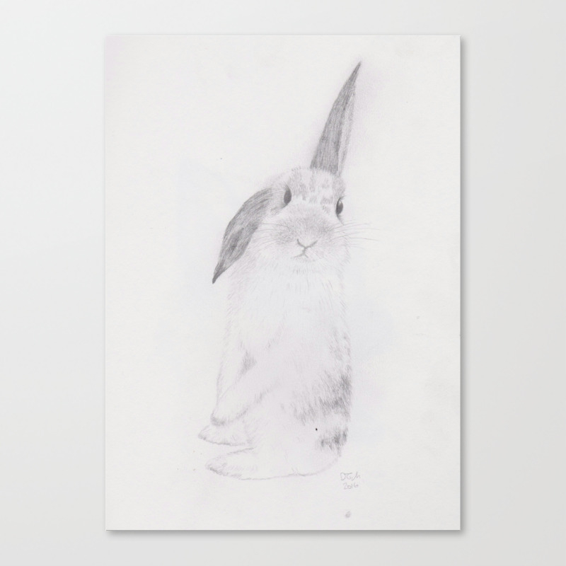 Rabbit Pencil Drawing Canvas Print By Crumbledoodle Society6