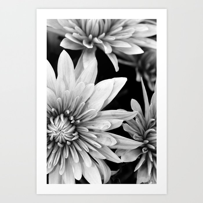 black and white flowers,. Art Print by hannahlancaster | Society6