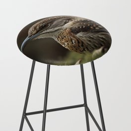 Birds of the Jungle-2 Bar Stool