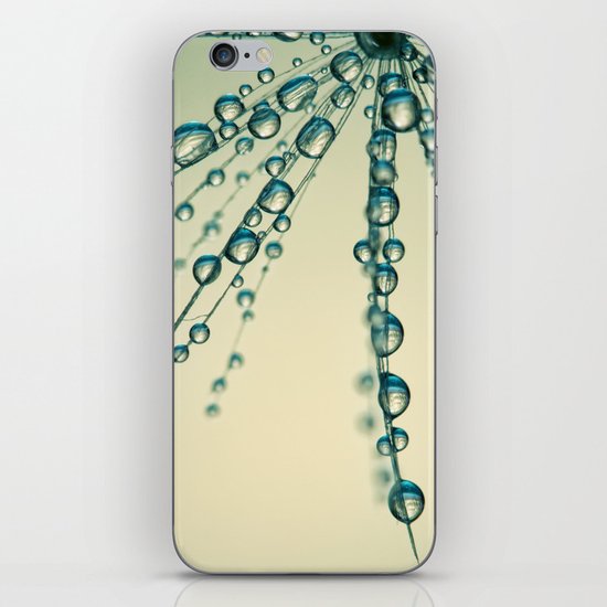 Dandy & Blue iPhone & iPod Skin