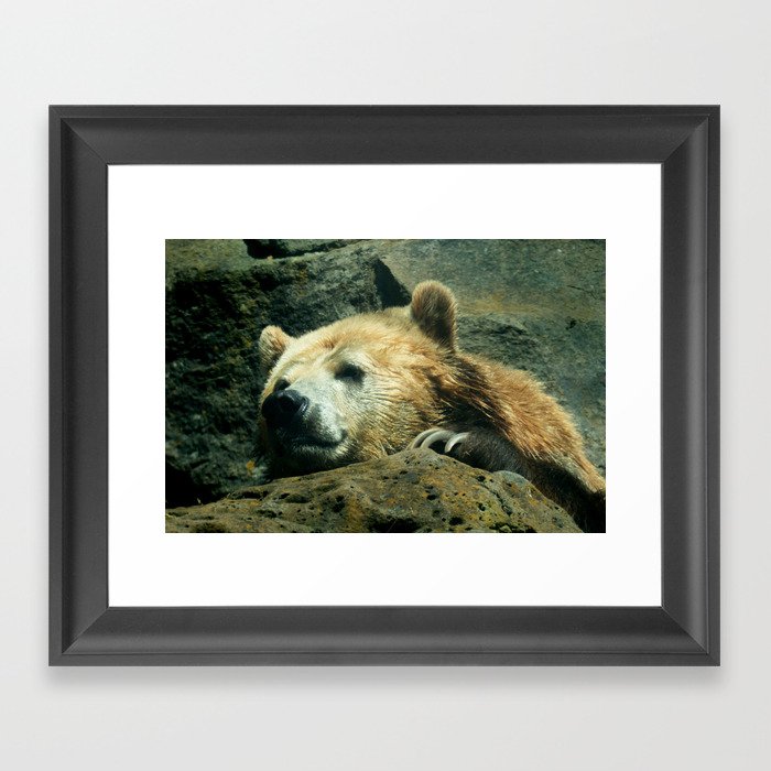 My What Big Claws You Have! Framed Art Print