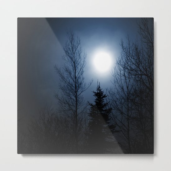 Twilight Metal Print