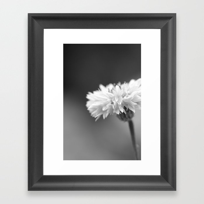 black and white flower Framed Art Print by hannahlancaster | Society6