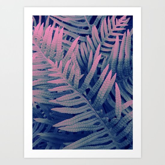 Ferns#3 Art Print