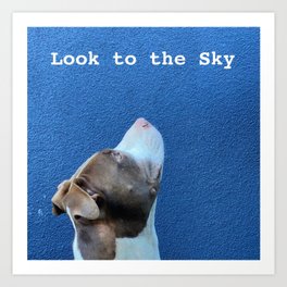 Look to the Sky Art Print