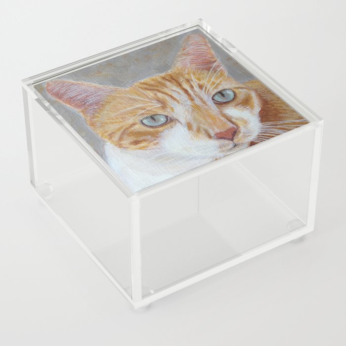 BeBe Cat Portrait Acrylic Box