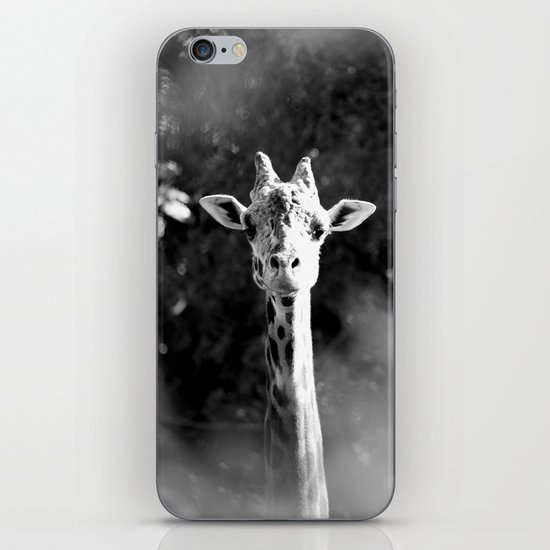 portrait of giraffe iPhone & iPod Skin