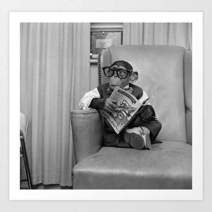 Dad on a Good Day - Chimpanzee Father reading the New York Times black and white photograph Art Print