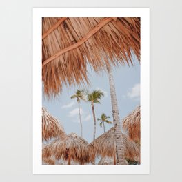 palm trees iv Art Print